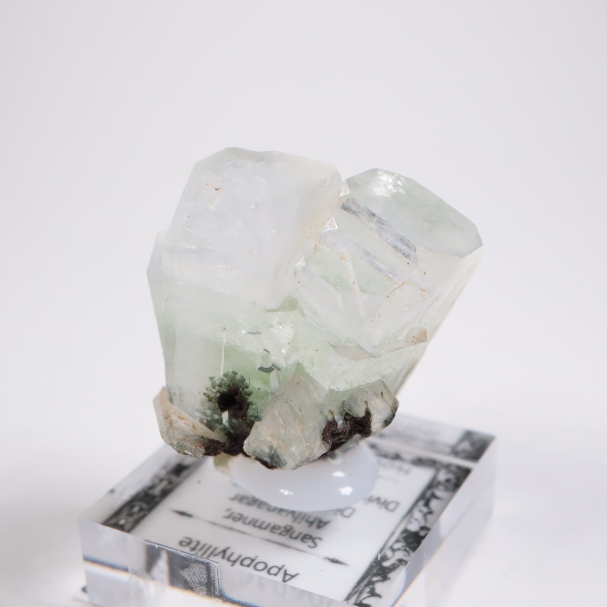 ����ɻ� ���ݥե��饤��