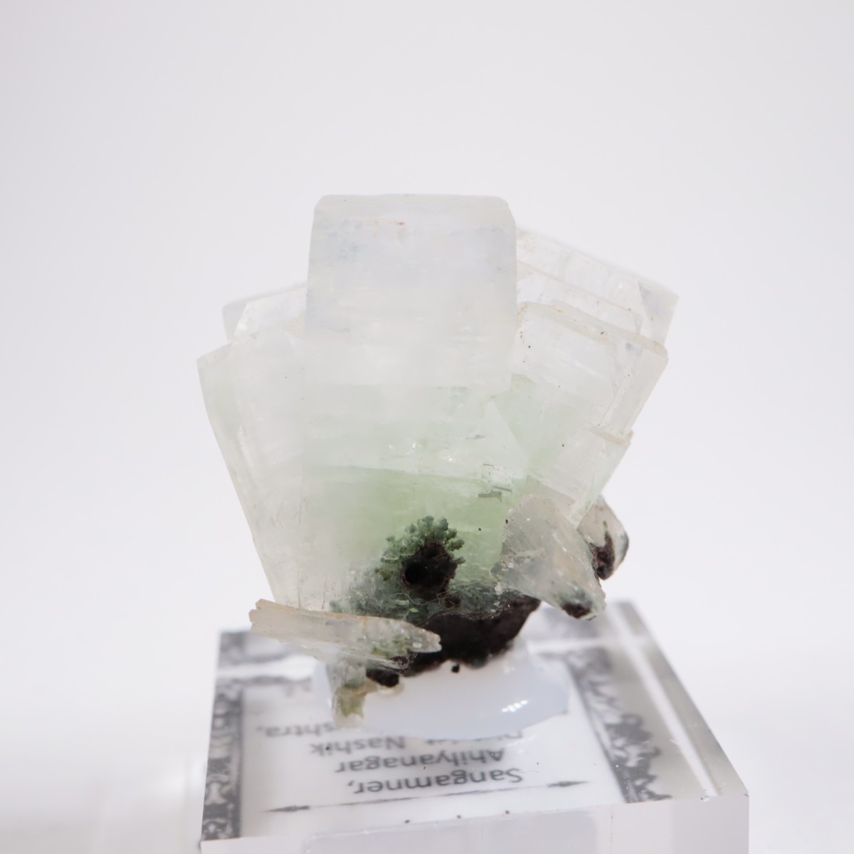 ����ɻ� ���ݥե��饤��