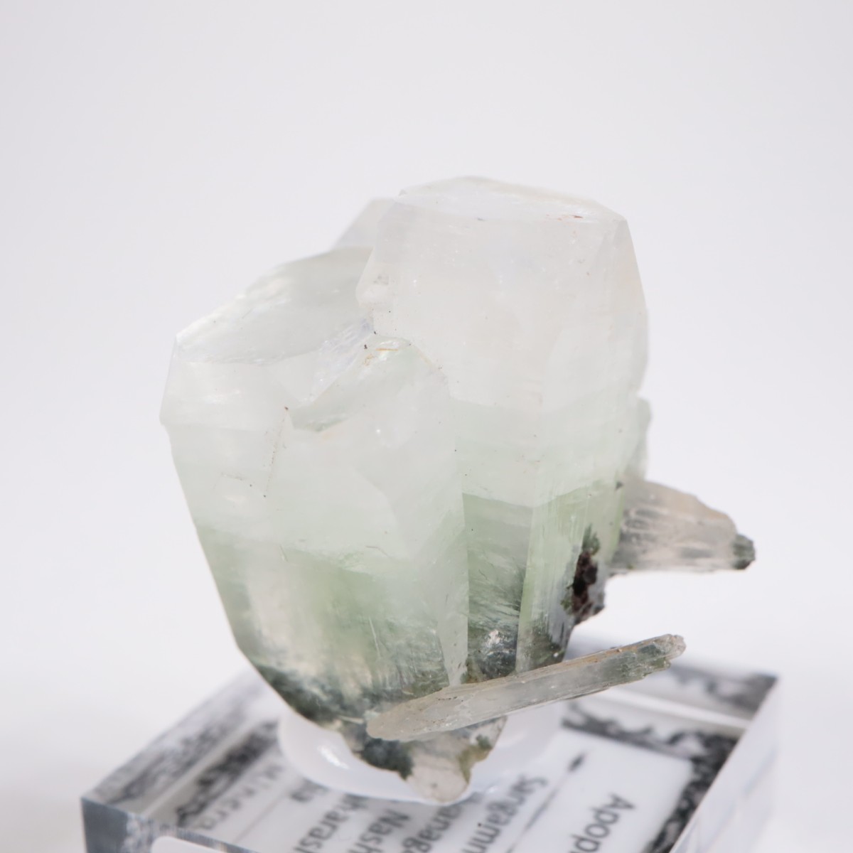 ����ɻ� ���ݥե��饤��