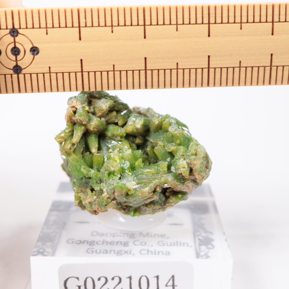 Daoping�ۻ� �ѥ������ե�����