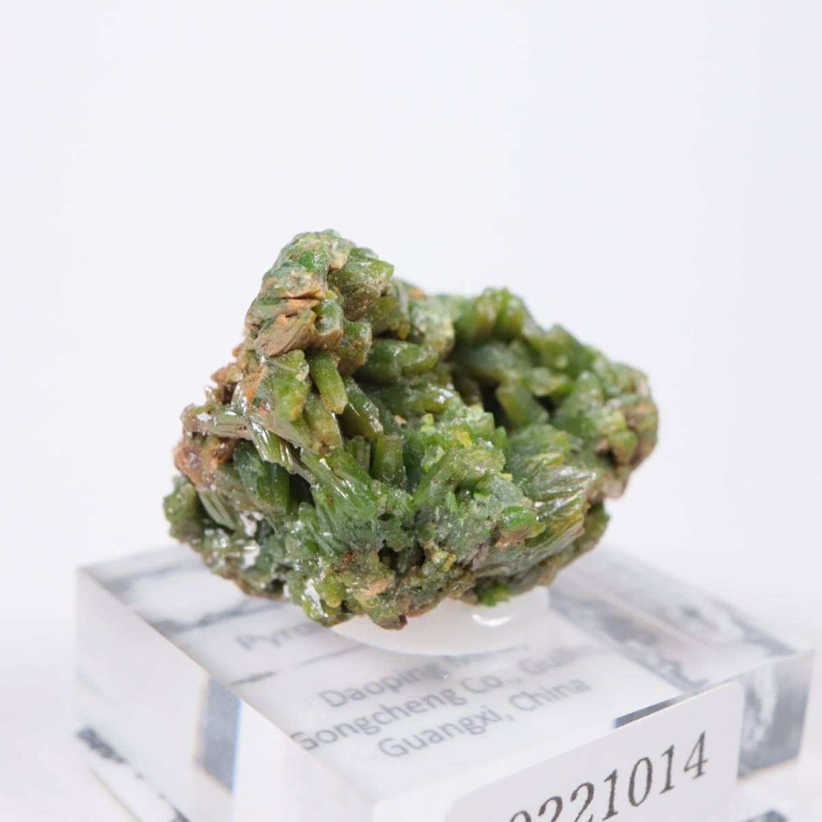 Daoping�ۻ� �ѥ������ե�����