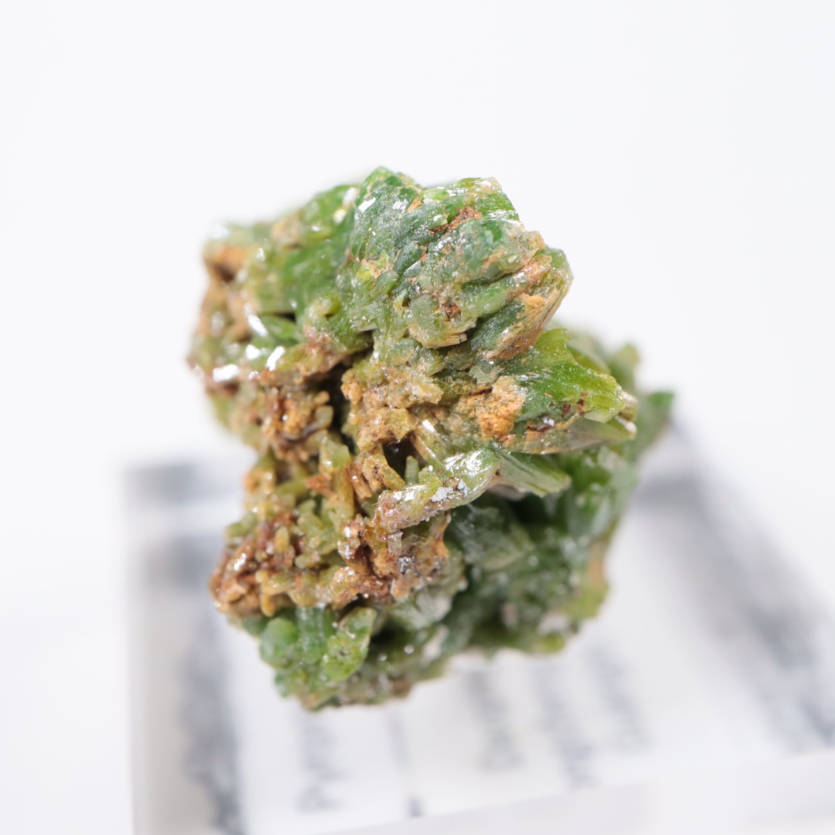 Daoping�ۻ� �ѥ������ե�����