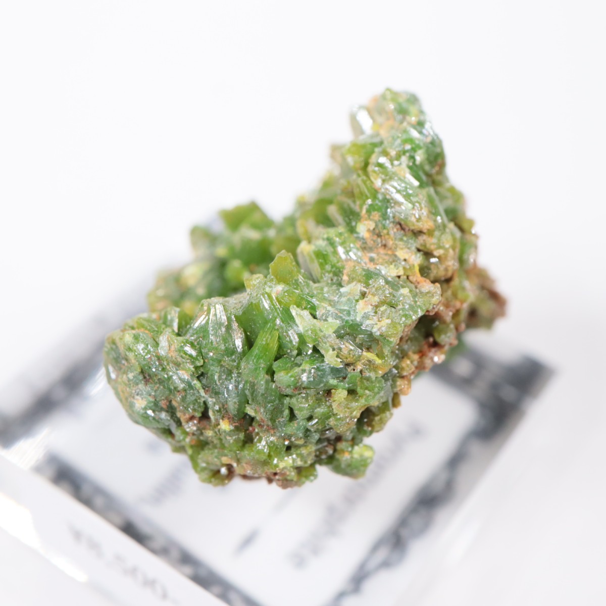 Daoping�ۻ� �ѥ������ե�����