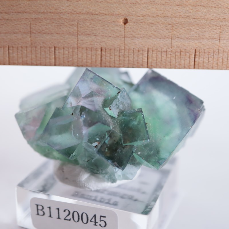 オコルス monday12oclock フローライト 鉱物標本 蛍石