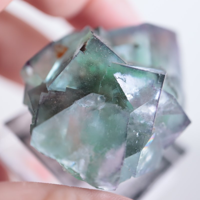 オコルス鉱山産 フローライト | 鉱物標本,ハ行,フローライト/蛍石