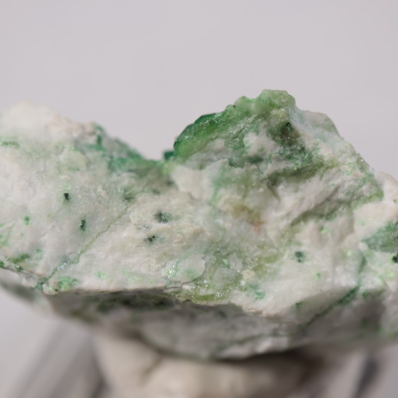 �����ե꡼�ۻ����٥�����