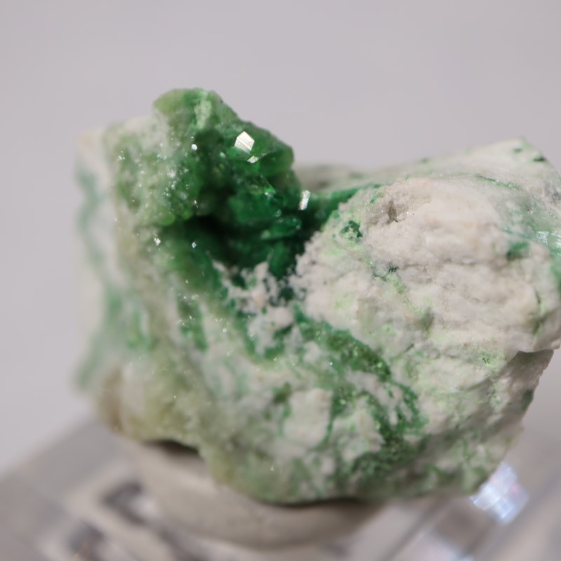 �����ե꡼�ۻ����٥�����