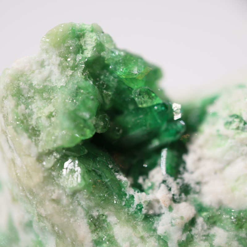 �����ե꡼�ۻ����٥�����