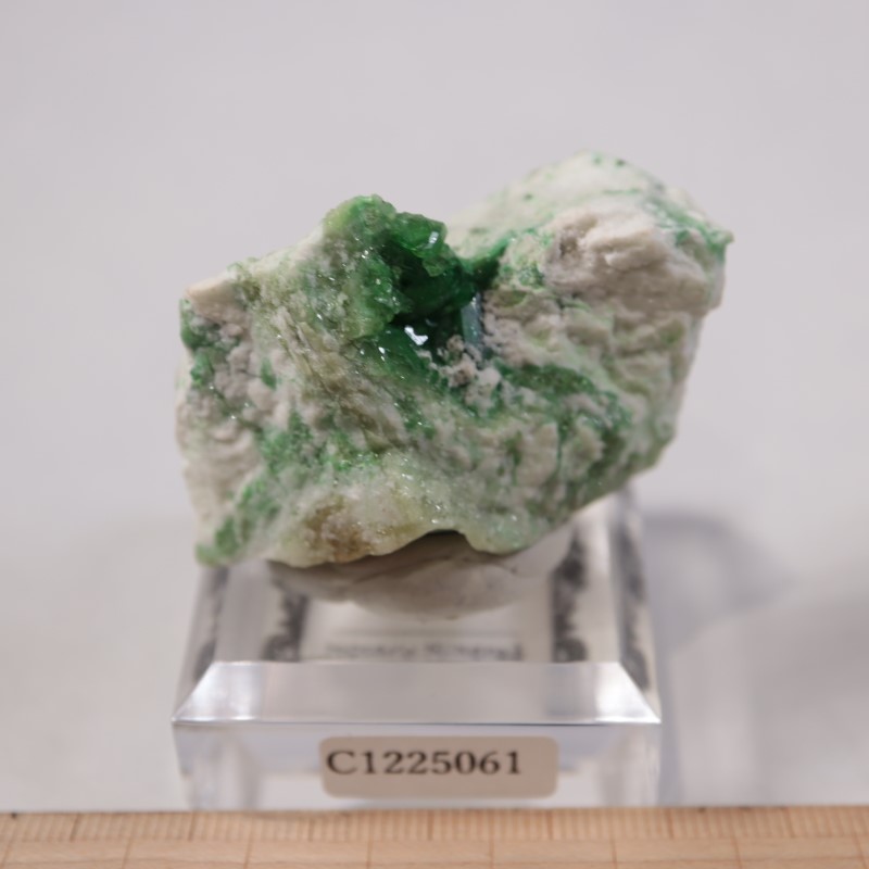 �����ե꡼�ۻ����٥�����