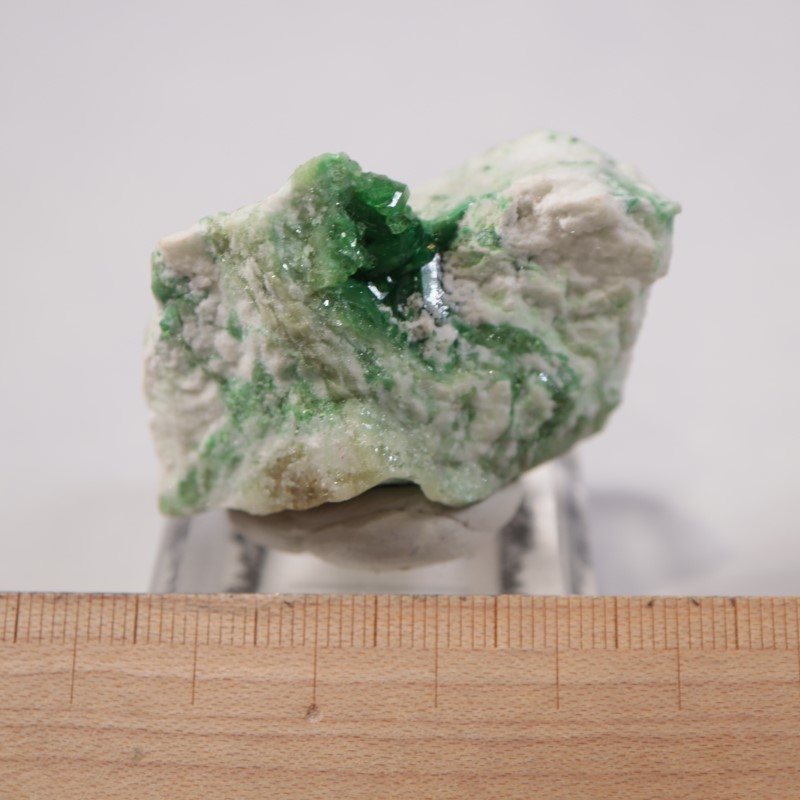 �����ե꡼�ۻ����٥�����