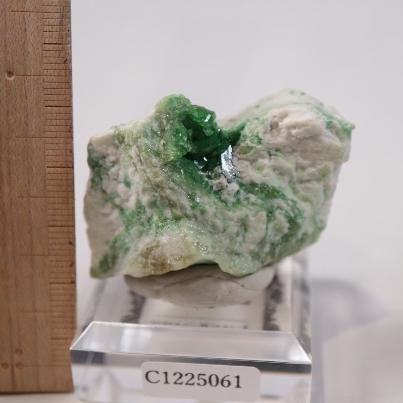 �����ե꡼�ۻ����٥�����