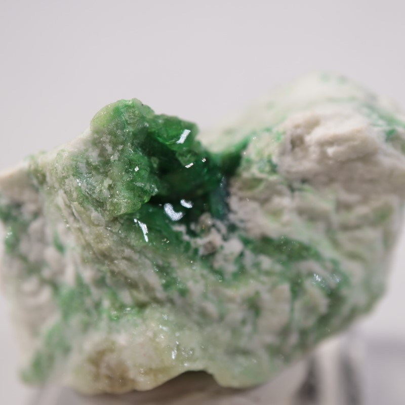 �����ե꡼�ۻ����٥�����