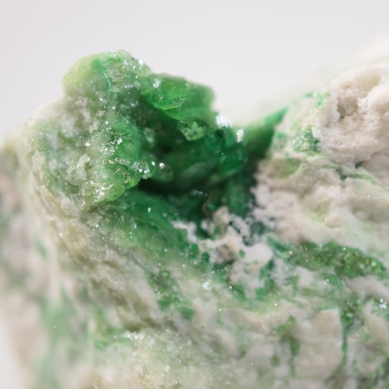 �����ե꡼�ۻ����٥�����