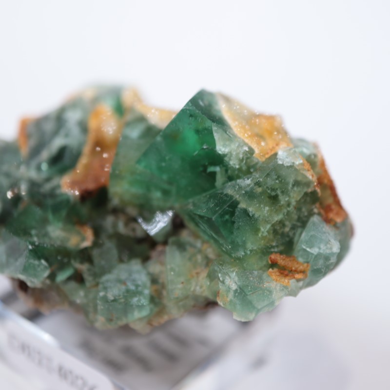 Druzy Dreams Pocket��������