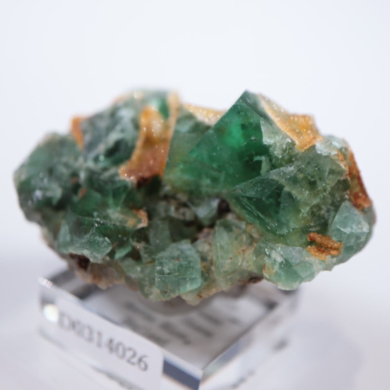 Diana Maria mine Smoky Rabbit Pocket 蛍石 95004-c2_1440x.jpg?v=1668065005