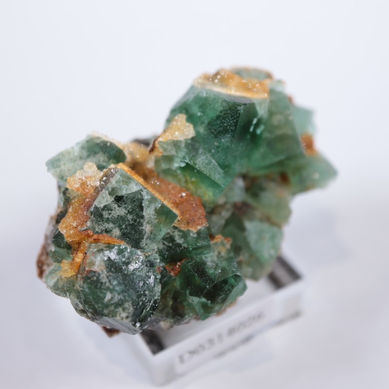 Druzy Dreams Pocket��������