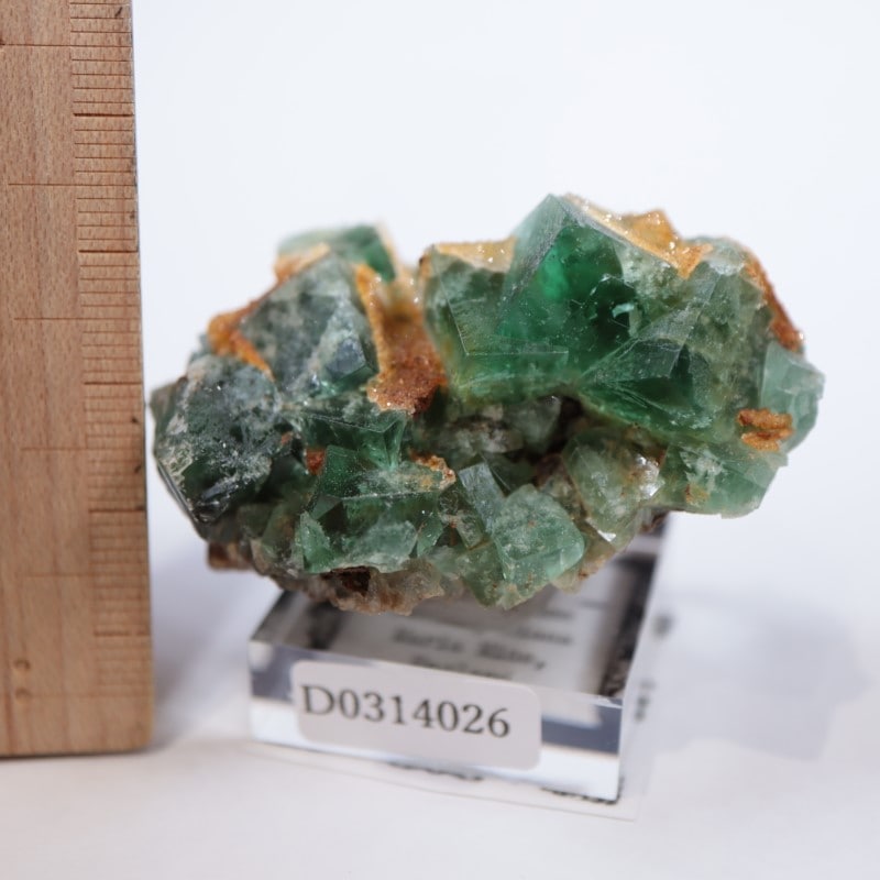 Druzy Dreams Pocket��������