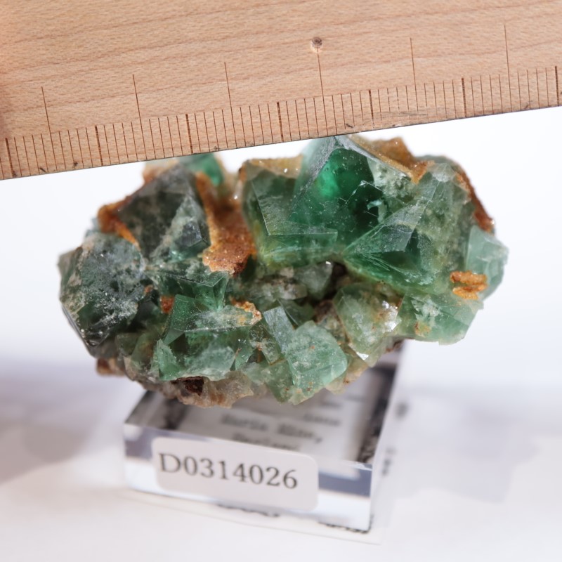 Druzy Dreams Pocket��������