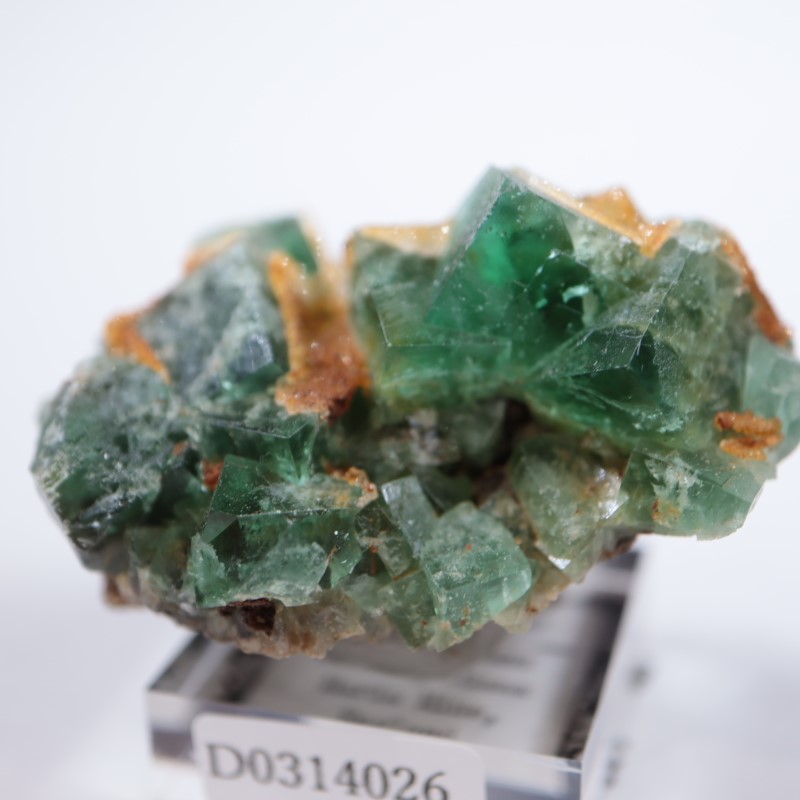 Druzy Dreams Pocket��������