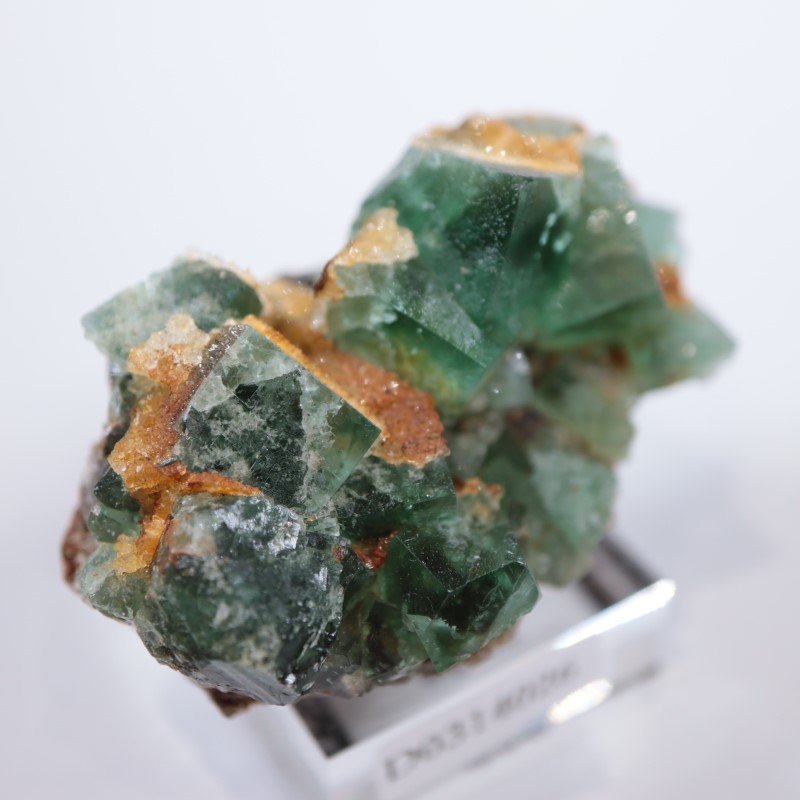 Druzy Dreams Pocket��������
