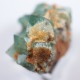 Druzy Dreams Pocket��������