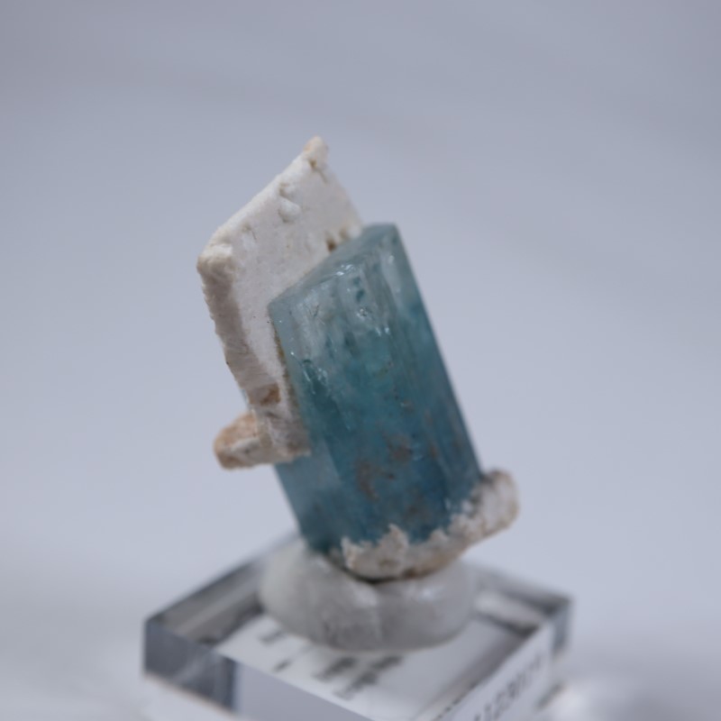 �����󥴹ۻ����������ޥ��