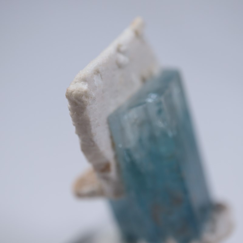 �����󥴹ۻ����������ޥ��