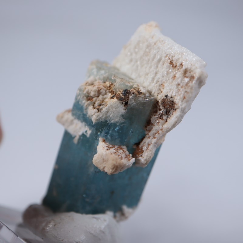 �����󥴹ۻ����������ޥ��