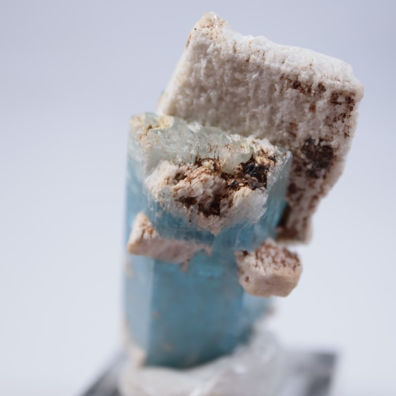 �����󥴹ۻ����������ޥ��