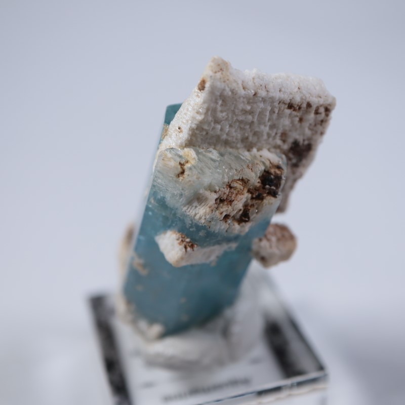 �����󥴹ۻ����������ޥ��