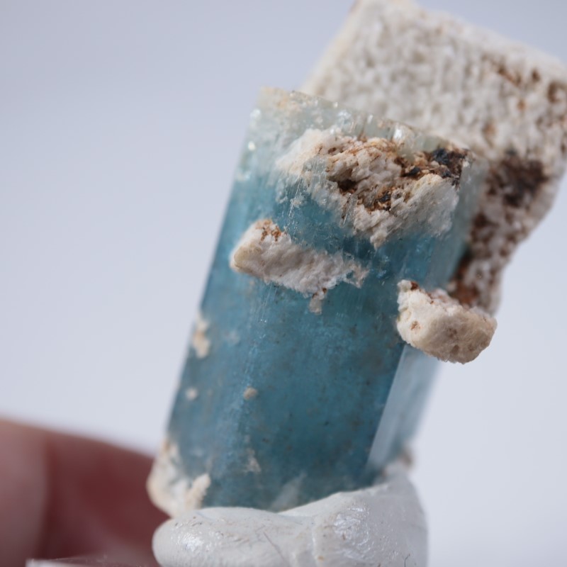 �����󥴹ۻ����������ޥ��