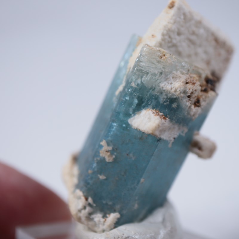 �����󥴹ۻ����������ޥ��