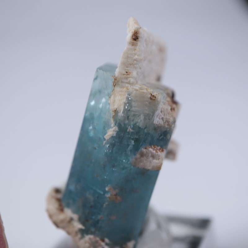 �����󥴹ۻ����������ޥ��