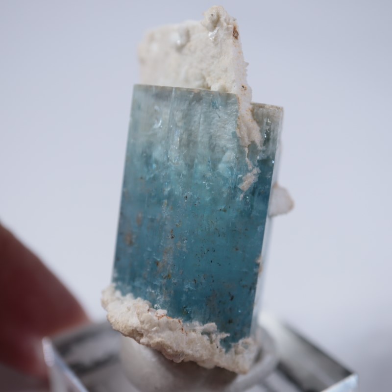 �����󥴹ۻ����������ޥ��