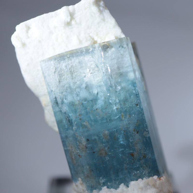 �����󥴹ۻ����������ޥ��