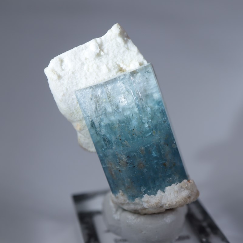 �����󥴹ۻ����������ޥ��