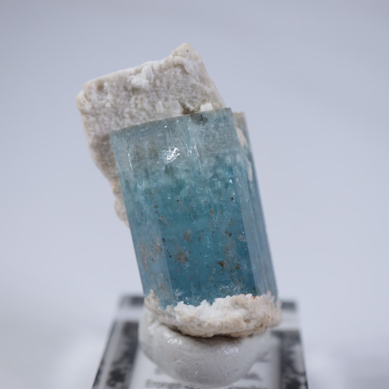 �����󥴹ۻ����������ޥ��