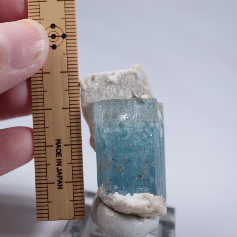 �����󥴹ۻ����������ޥ��