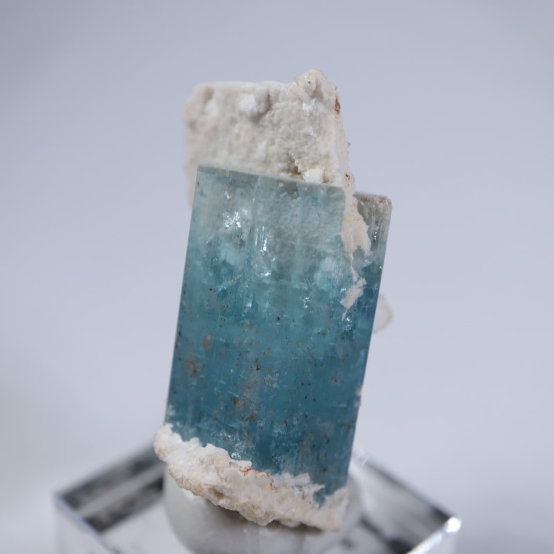 �����󥴹ۻ����������ޥ��