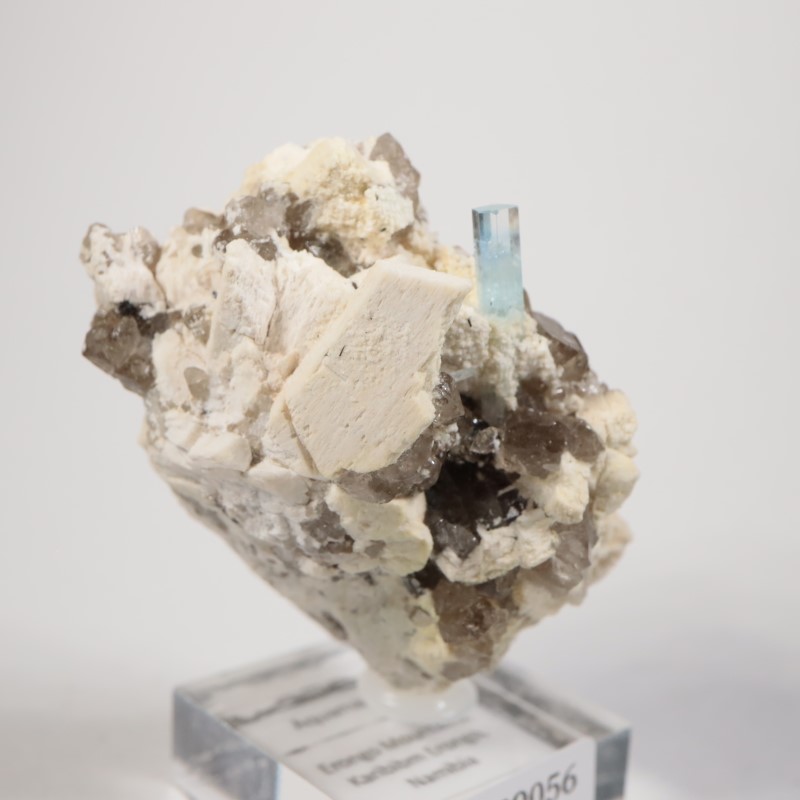 �ʥߥӥ������������ޥ�����徽