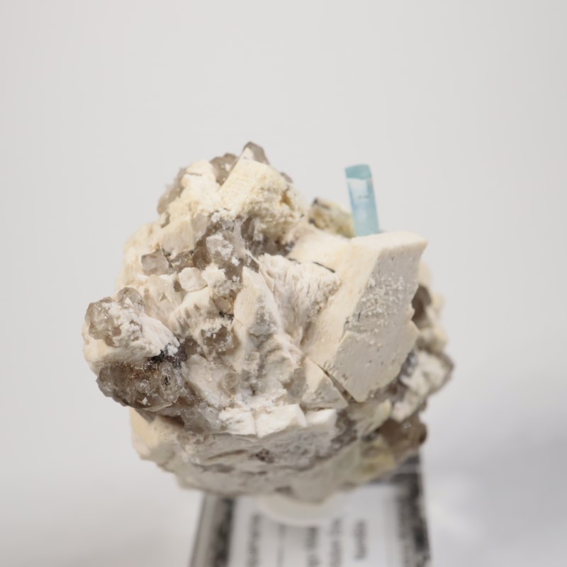 �ʥߥӥ������������ޥ�����徽