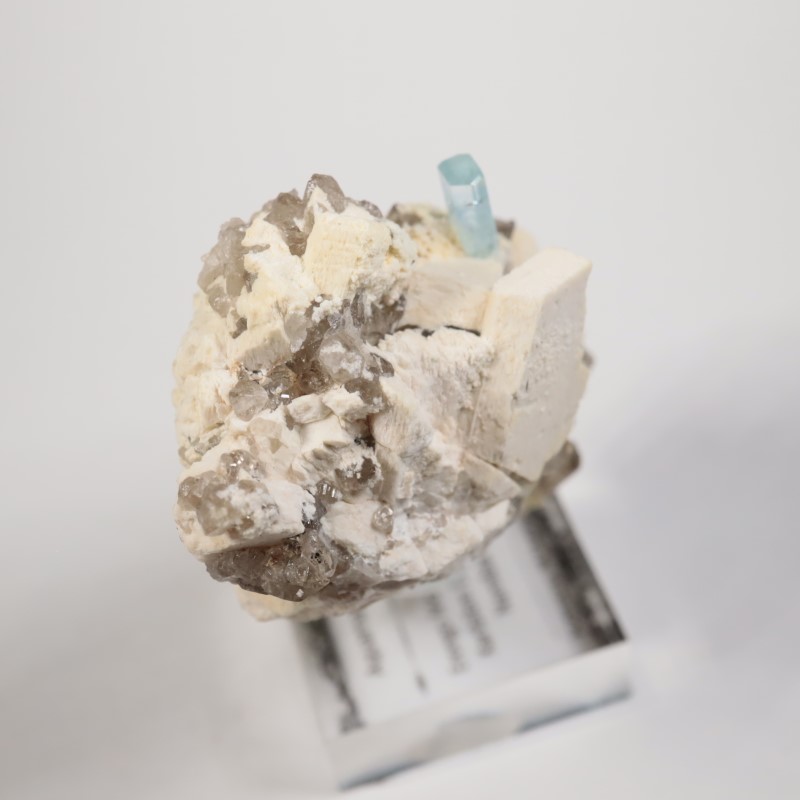 �ʥߥӥ������������ޥ�����徽