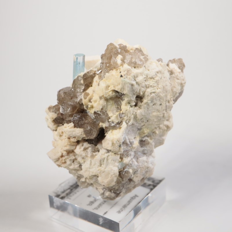 �ʥߥӥ������������ޥ�����徽