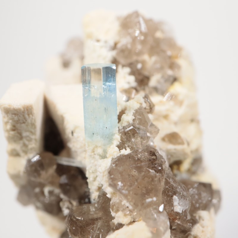 �ʥߥӥ������������ޥ�����徽