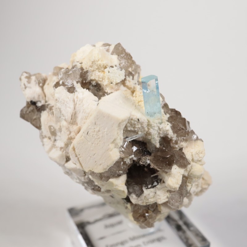 �ʥߥӥ������������ޥ�����徽