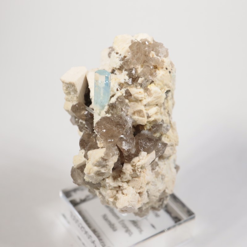 �ʥߥӥ������������ޥ�����徽