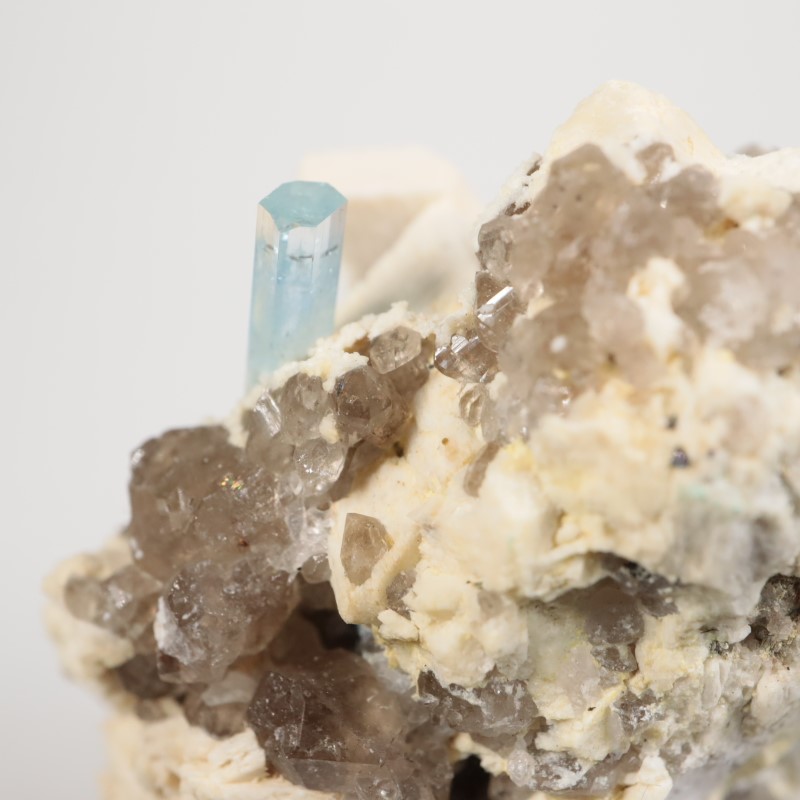 �ʥߥӥ������������ޥ�����徽