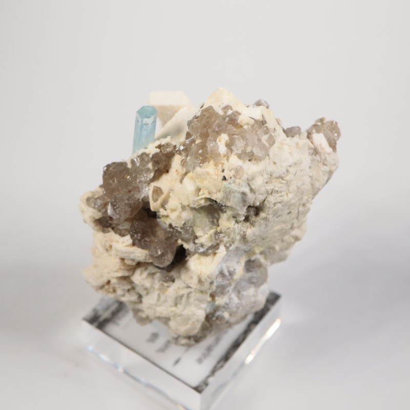 �ʥߥӥ������������ޥ�����徽