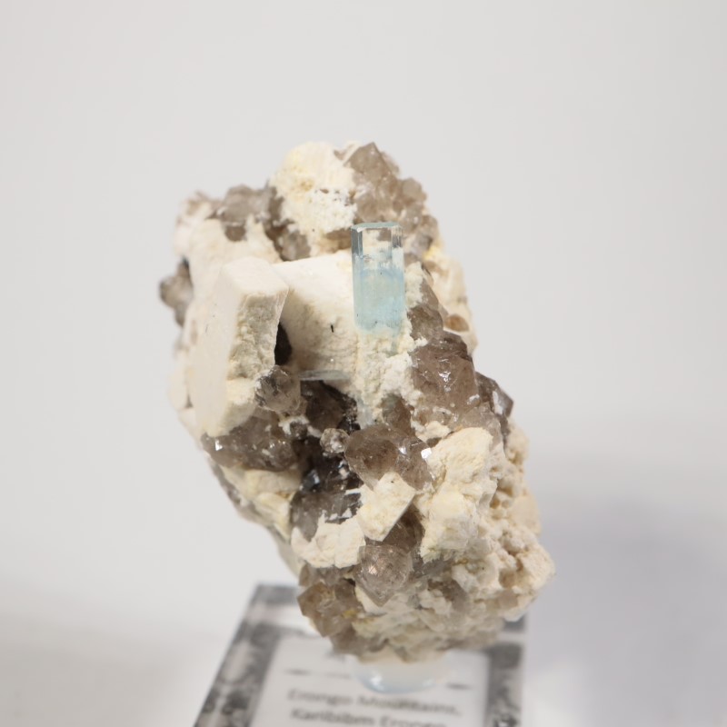 �ʥߥӥ������������ޥ�����徽