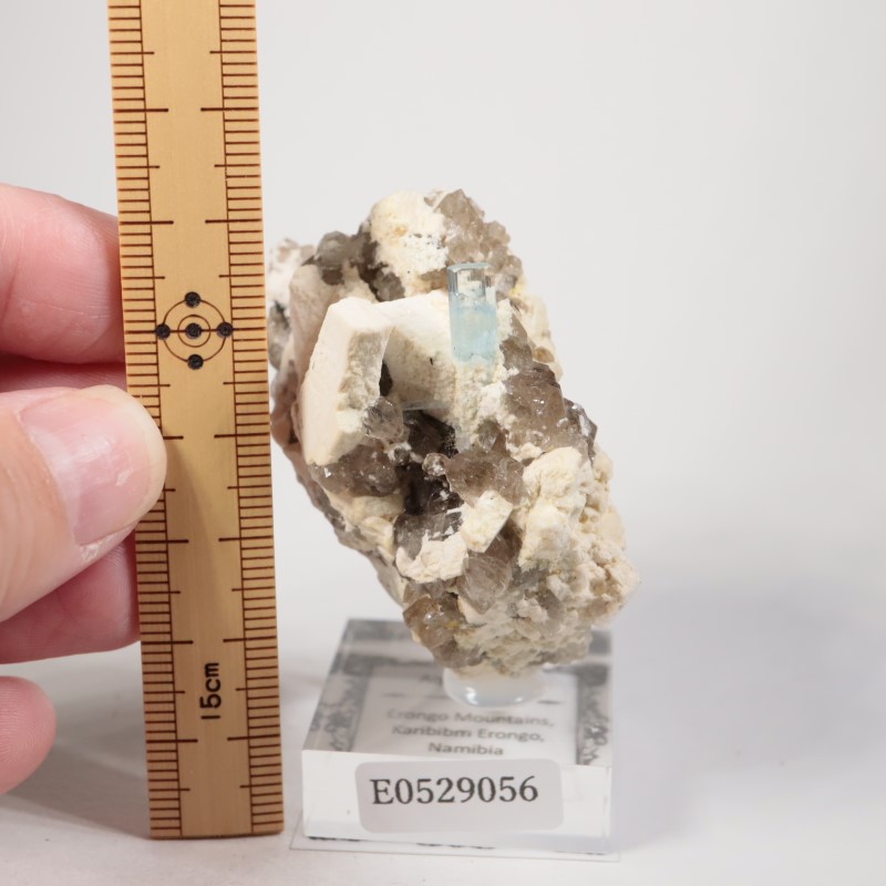 �ʥߥӥ������������ޥ�����徽